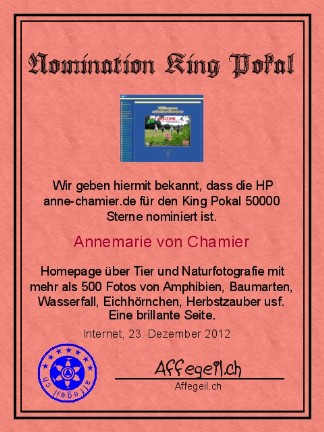 King Award Nominationsurkunde Anne Chamier