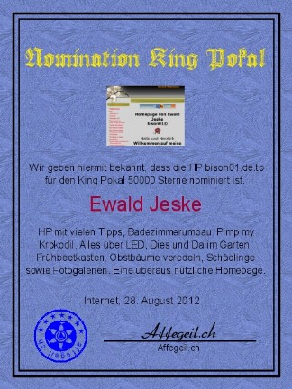 King Award Nominationsurkunde Bison01