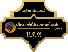 King Award Medaille VIP Chicos-Bilderparadies