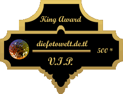 King Award Medaille VIP Die Fotowelt