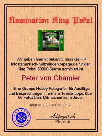 King Award Nominationsurkunde Fotostammtisch Holzminden