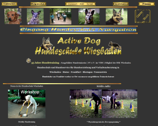 King Award Screenshot Hundeschule Loeb