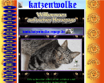 King Award Screenshot Katzenwolke