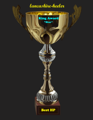King Award Pokal Lancashire Heeler