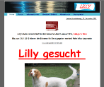 King Award Screenshot Lilly gesucht