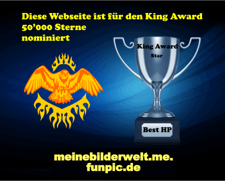 King Award Nominationsschild Meinebilderwelt