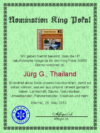 King Award Nominationsurkunde Naturfotoseite