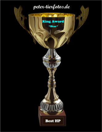 King Award Pokal Peter-Tierfotos