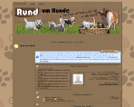 King Award Screenshot Rund-um-Hunde