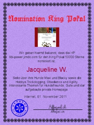 King Award Nominationsurkunde Tibi-Power